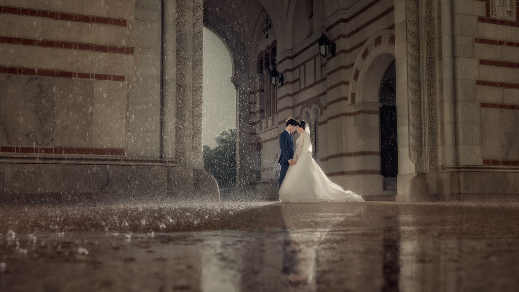 Houston wedding portrait 198A4449