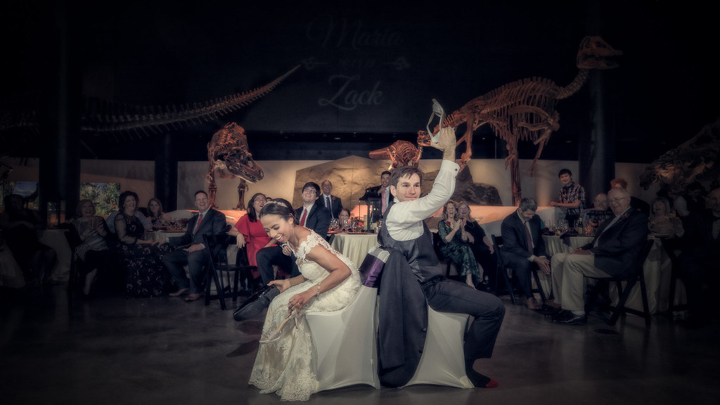 Wedding at the Houston Museum of Natural Science