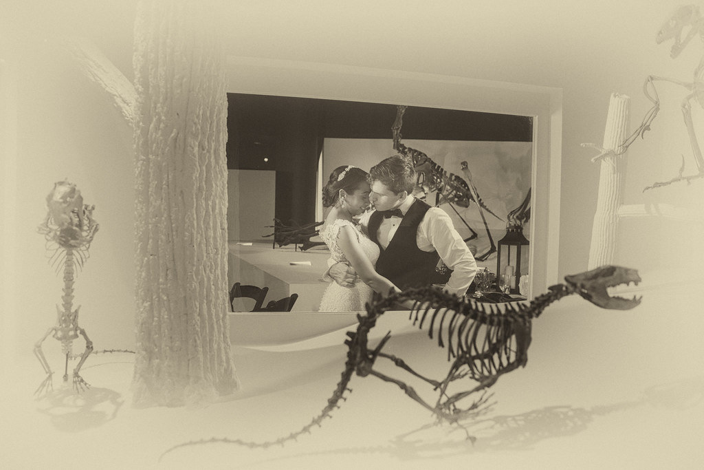Wedding portrait at the Houston Museum of Natural Science