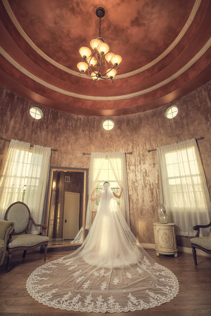 Houston wedding portrait selected by Henry Photo Studio